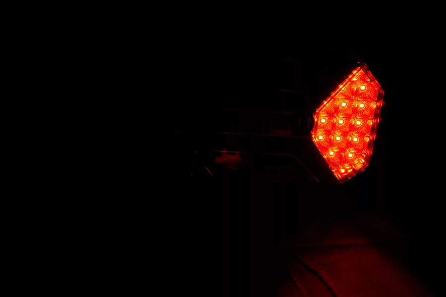 Десен LED Неон стоп. 235мм 12/24V
