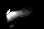 Габарит с 3 диода, черен с бяла светлина, Black, опушен - LED